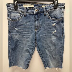 Pilcro by Anthropologie Slim Boyfriend Cutoff Distressed Denim Bermuda Shorts 29